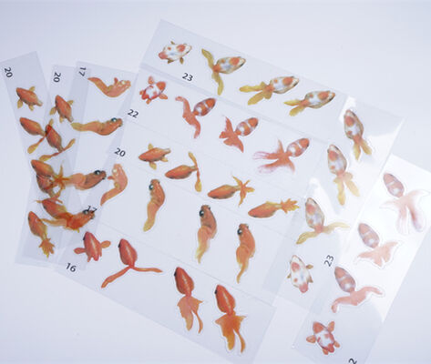 3D resin goldfish stickers, resin paintings, goldfish stickers, material stickers, crystal drip glue, goldfish paintings, resin paintings, wholesale