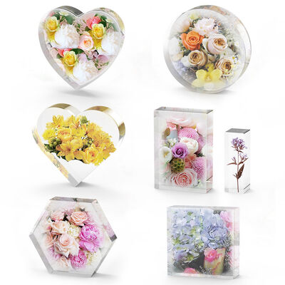 Molde de gotero de cristal DIY, cuerpo circular, cuerpo hexagonal, mesa, archivo de libros, molde de silicona