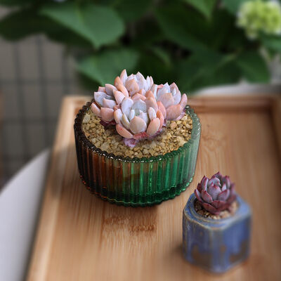 Caja de almacenamiento de cristal DIY caída de gel Molde de banda redonda Caja de almacenamiento de joyas Molde de silicona