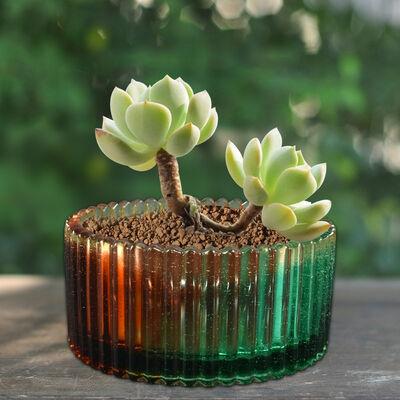 Caja de almacenamiento de cristal DIY caída de gel Molde de banda redonda Caja de almacenamiento de joyas Molde de silicona