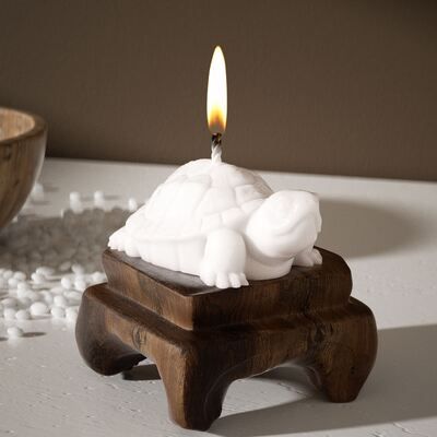 DIY pegamento de caída 3D estereoscópico tamaño de tortuga molde de silicona aromaterapia yeso vela colgante molde de tortuga