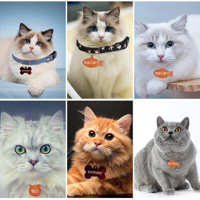 Crystal dropper DIY cat pet hanging fish dog bone anti loss nameplate pendant silicone mold