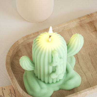 Large, medium, and small drop glue cactus potted plant ornament grinding DIY candle aromatherapy gypsum silicone mold