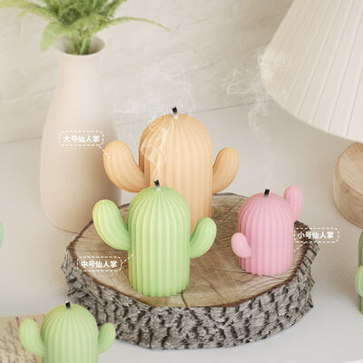 Large, medium, and small drop glue cactus potted plant ornament grinding DIY candle aromatherapy gypsum silicone mold