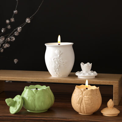 DIY Glue Rainbow Lotus Lamp Storage Can Silicone Mold Aromatherapy Candle Cup Gypsum Flower Pot Mold