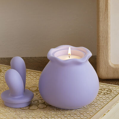 DIY crystal dropper rabbit ear cover lace storage box storage can gypsum candle cup silicone mold