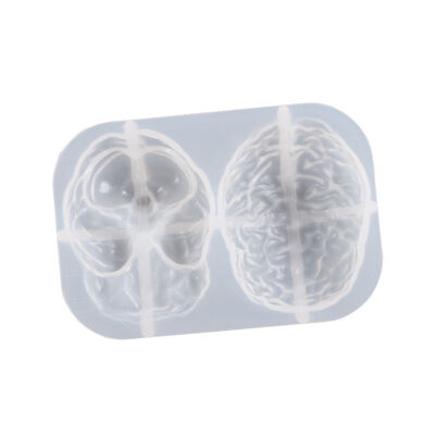 DIY dropper resin human 3D organ silicone mold visceral brain heart 3D pendant grinding tool