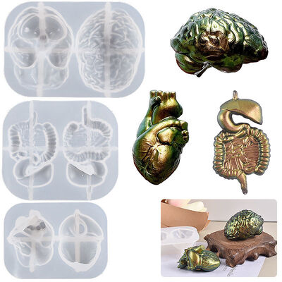 DIY dropper resin human 3D organ silicone mold visceral brain heart 3D pendant grinding tool