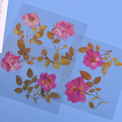 DIY Drip Glue Multiple Simulated Transparent Dried Flower Filling Decoration Materials Paper Hand Account Stickers Wholesale in Stock