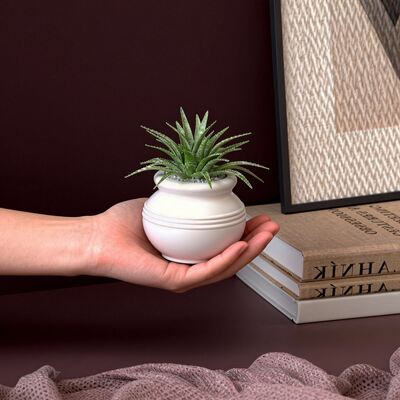 Aromatherapy Gypsum Resin Cement Fish Tank Flowerpot Silicone Mold DIY Dried Flower Succulent Small Hanging Basin Mold