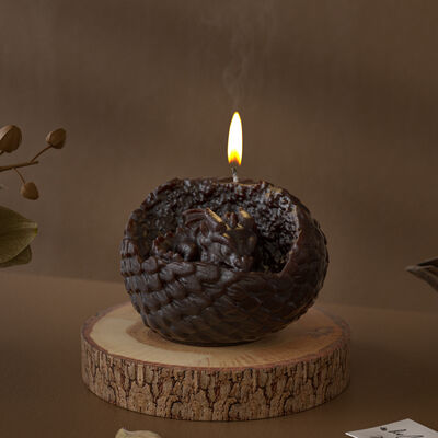 Aromatherapy Gypsum Dinosaur Egg Baby Candle Silicone Mold DIY Cracked Shell Dinosaur Cub Candle Mold